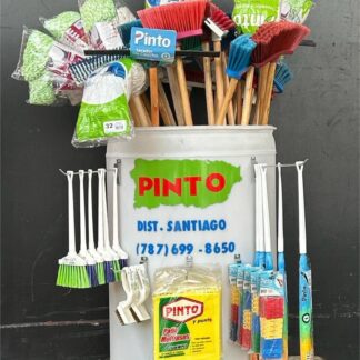 Dron Pinto